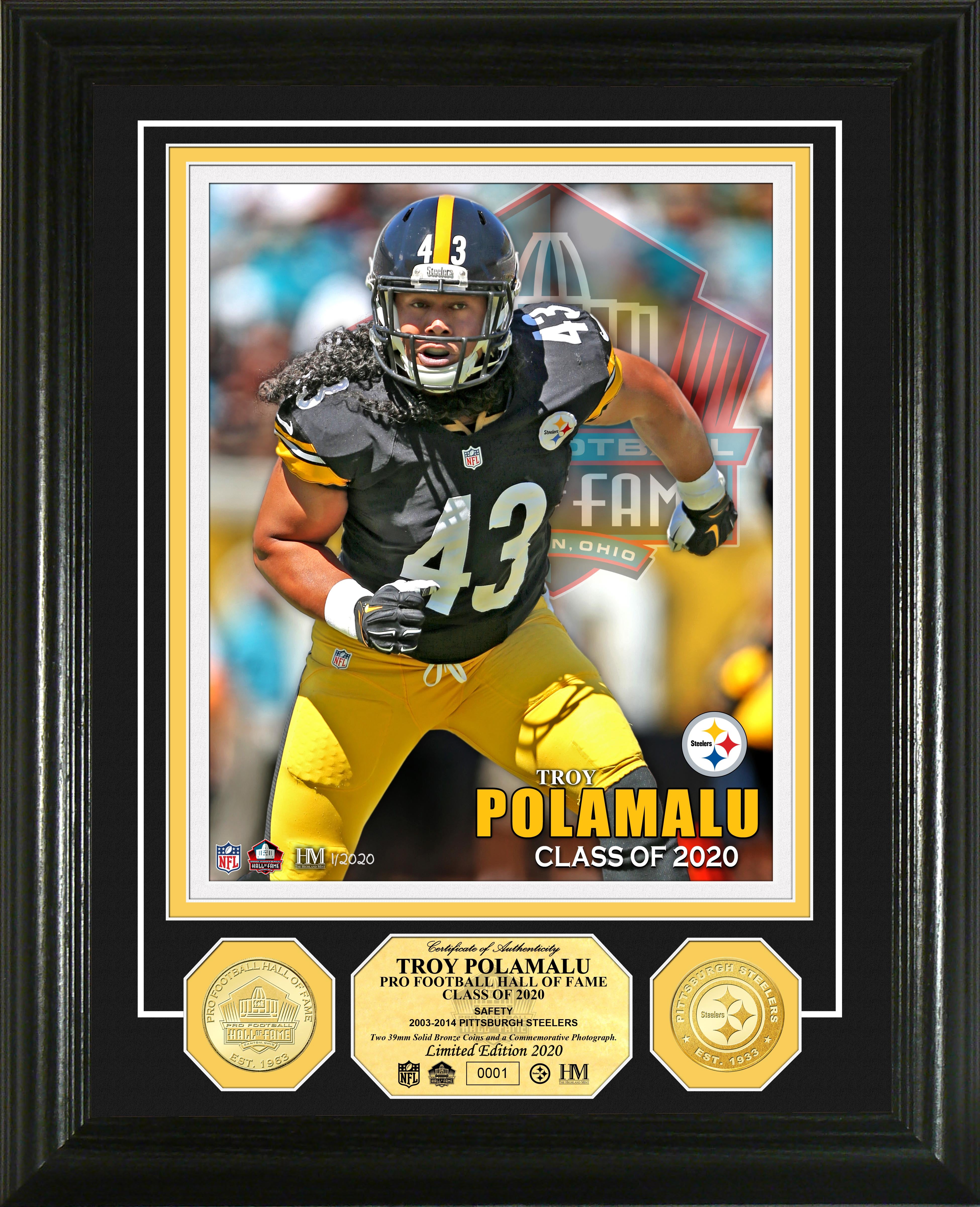 Troy Polamalu 2020 Hall of Fame Bronze Coin Photo Mint - Sports Collectibles, Sports Memorabilia, Sports Fan Shop, Sports Gifts
