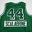 Autographed/Signed Brian Scalabrine Boston Green City Edition Basketball Jersey Beckett BAS COA