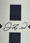 Framed Autographed/Signed Dez Bryant 35x39 Dallas Thanksgiving Day Football Jersey Beckett BAS COA