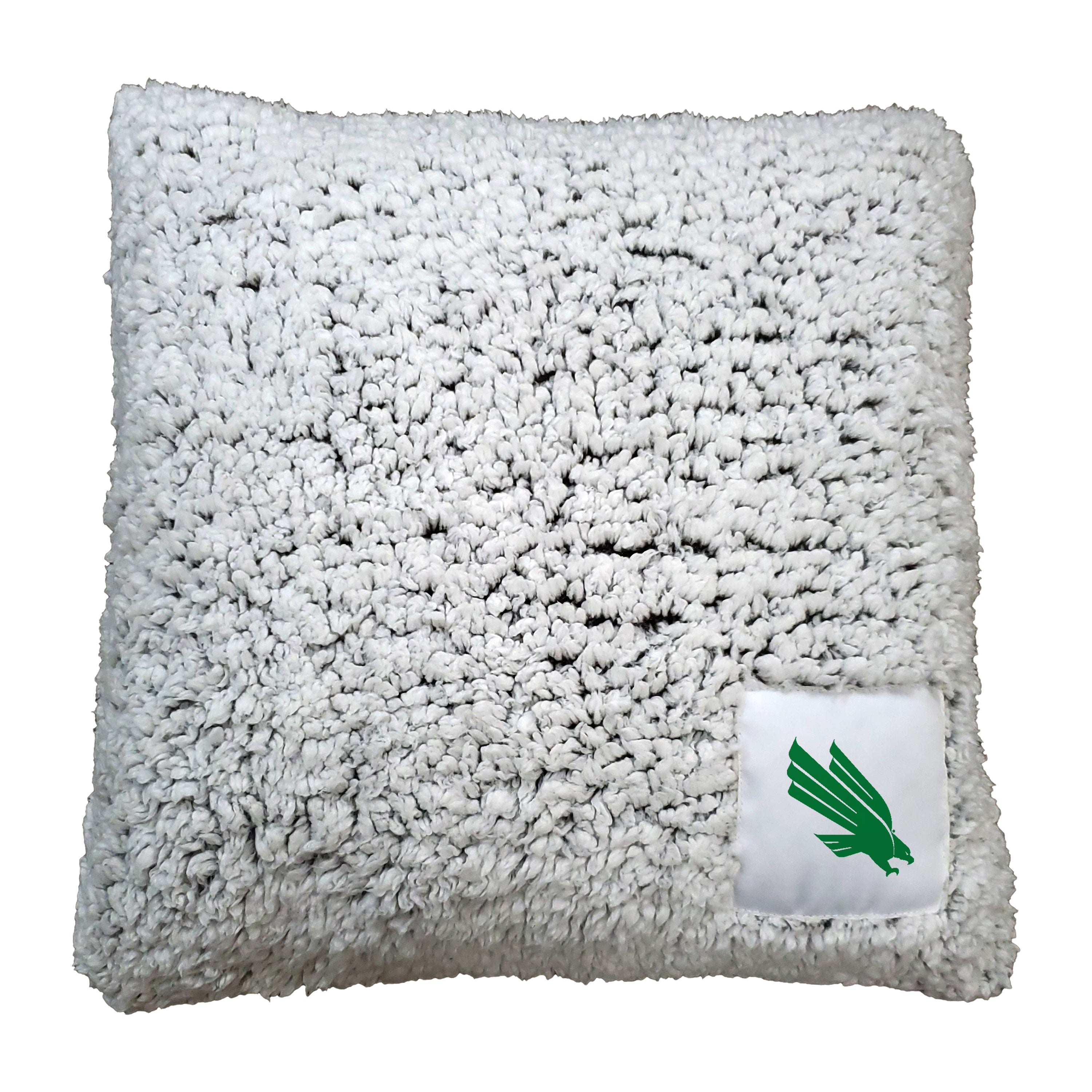 North Texas Frosty Throw Pillow