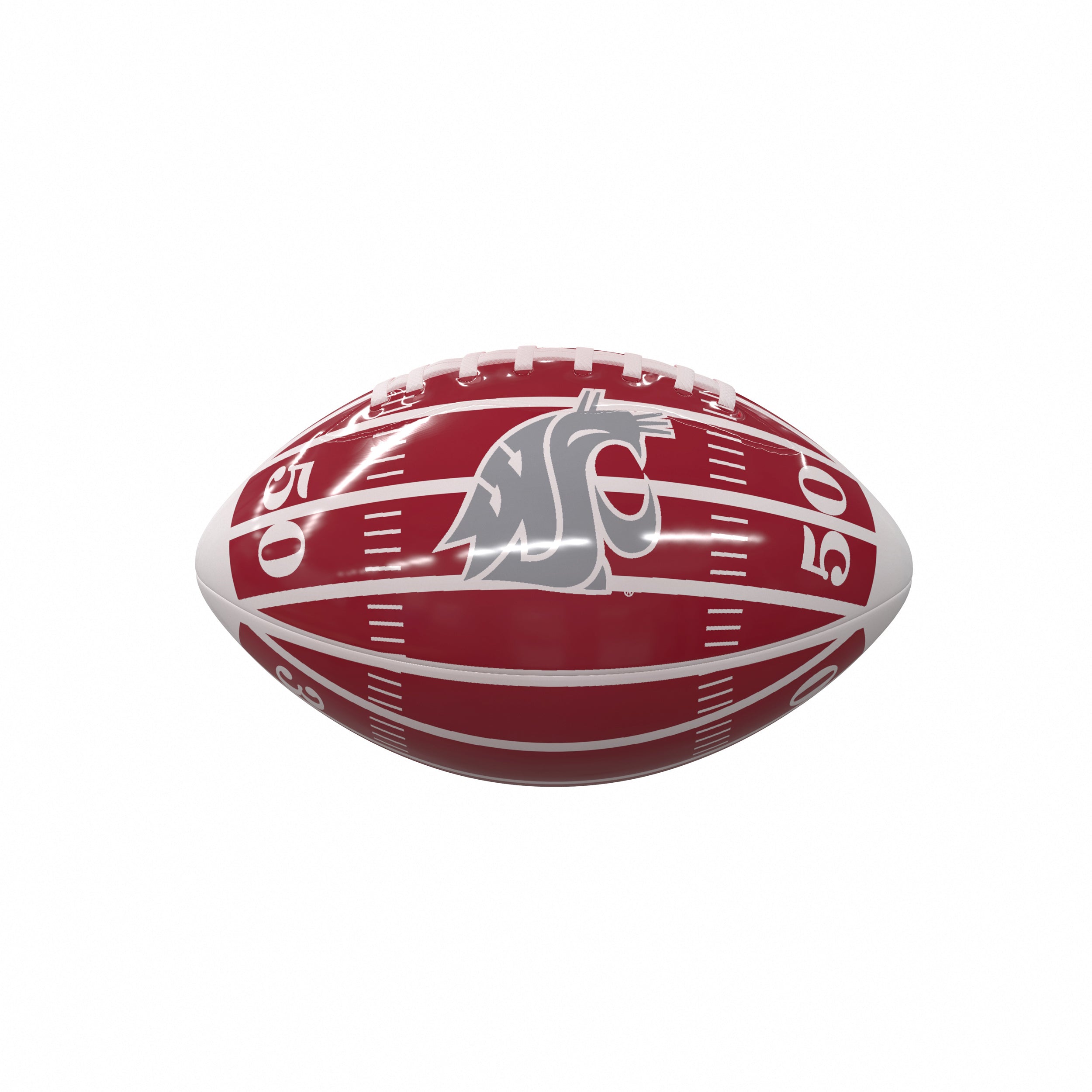 Washington State Field Mini-Size Glossy Football
