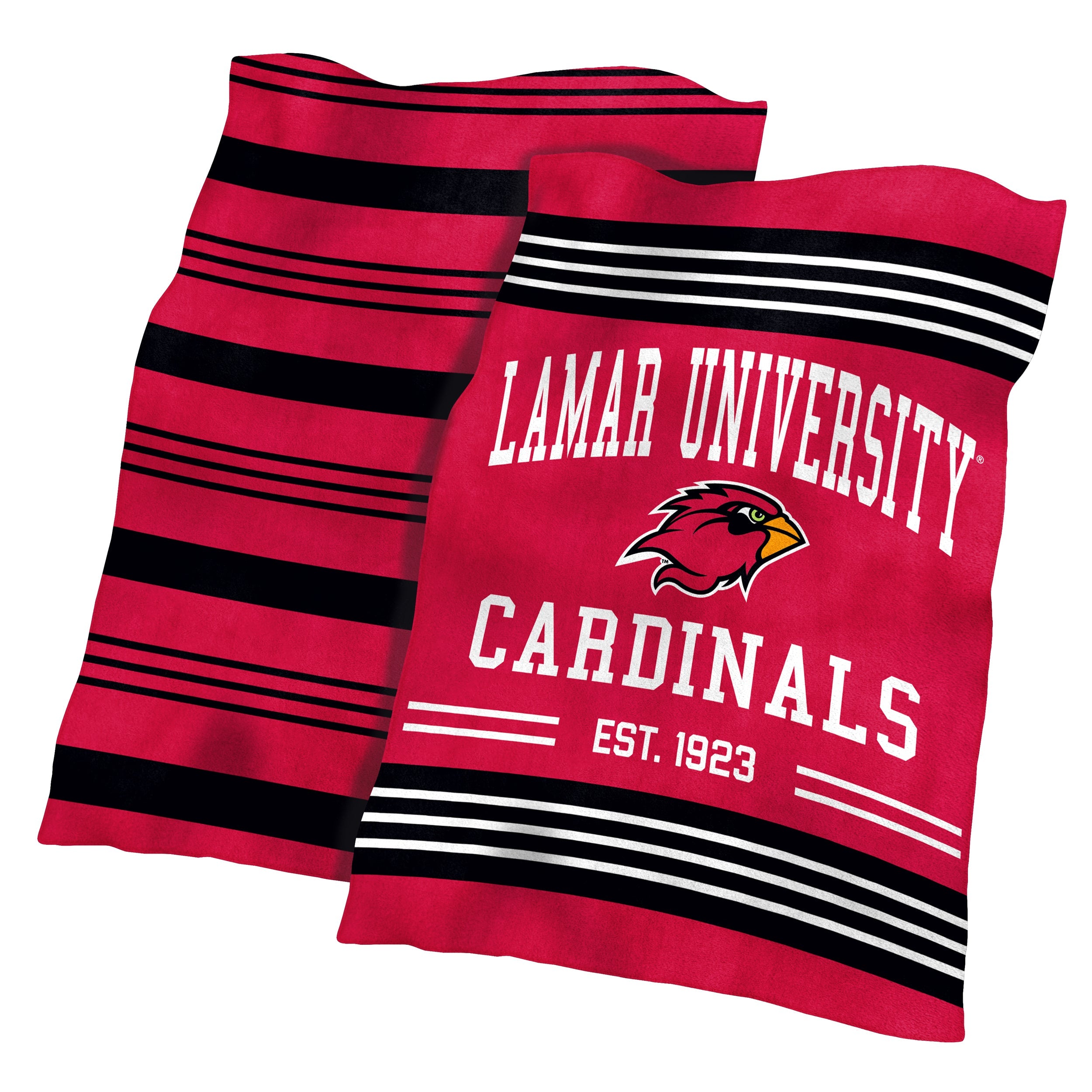 Lamar Colorblock Plush Blanket