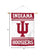 College Flags & Banners Co. Indiana Hoosiers Window Wall Banner Hanging Flag with Suction Cup - Sports Collectibles, Sports Memorabilia, Sports Fan Shop, Sports Gifts