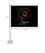 College Flags & Banners Co. Texas A&M San Antonio Jaguars Car Flag - Sports Collectibles, Sports Memorabilia, Sports Fan Shop, Sports Gifts