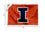 College Flags & Banners Co. Illinois Fighting Illini Small 2x3 Foot Flag - Sports Collectibles, Sports Memorabilia, Sports Fan Shop, Sports Gifts