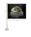 College Flags & Banners Co. OU Grizzlies Car and Auto Flag - Sports Collectibles, Sports Memorabilia, Sports Fan Shop, Sports Gifts