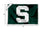 College Flags & Banners Co. MSU Spartans 4 ft x 6 ft Block S Flag - Sports Collectibles, Sports Memorabilia, Sports Fan Shop, Sports Gifts