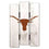 Texas Longhorns Wood Fence Sign (CDG) - 757 Sports Collectibles