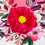Happy Valentine's Day Heart and Floral Applique House Flag - Sports Collectibles, Sports Memorabilia, Sports Fan Shop, Sports Gifts