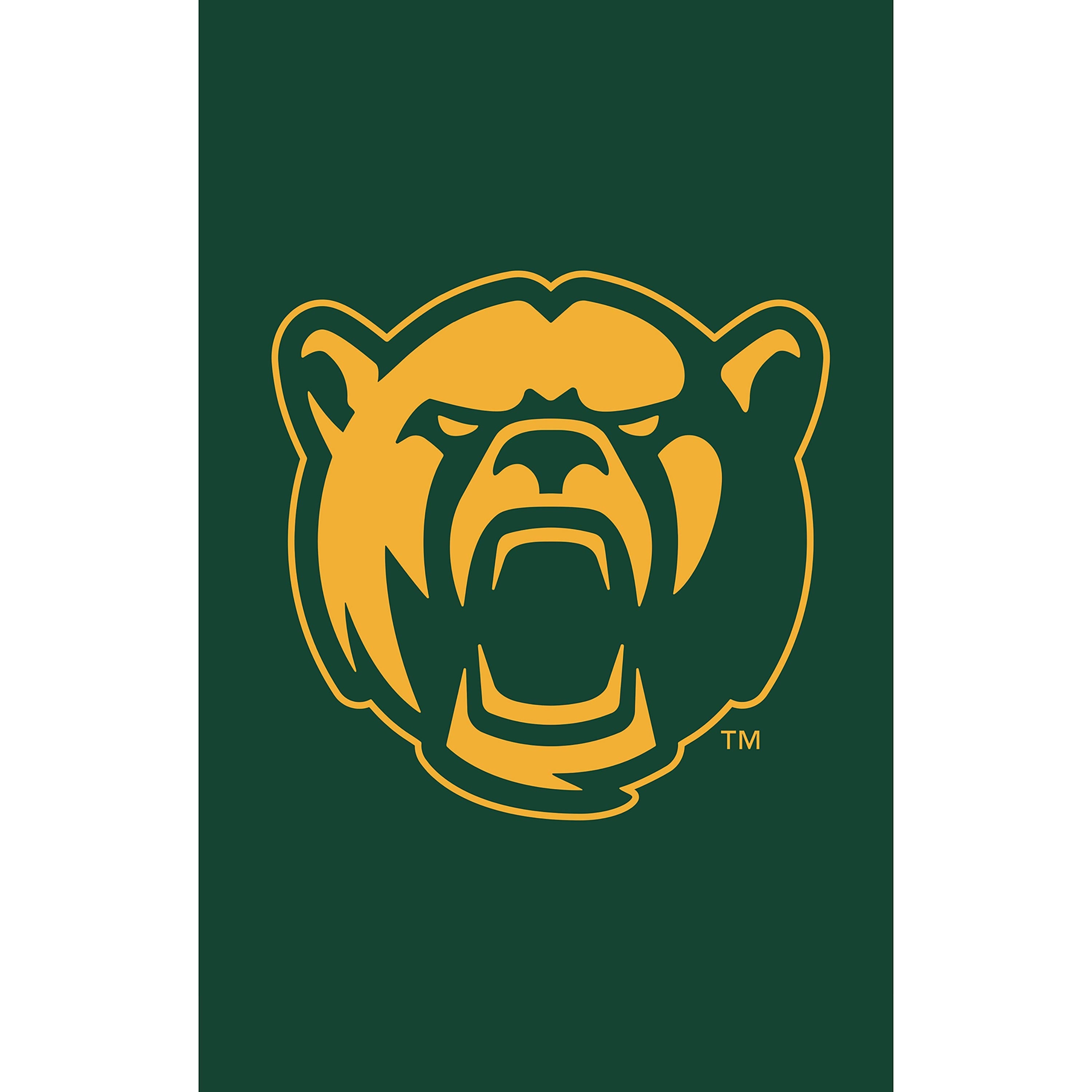 Applique Flag, Reg, Baylor University - Sports Collectibles, Sports Memorabilia, Sports Fan Shop, Sports Gifts