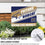 Montana State University Coroplast Yard Sign, Future Student - Sports Collectibles, Sports Memorabilia, Sports Fan Shop, Sports Gifts