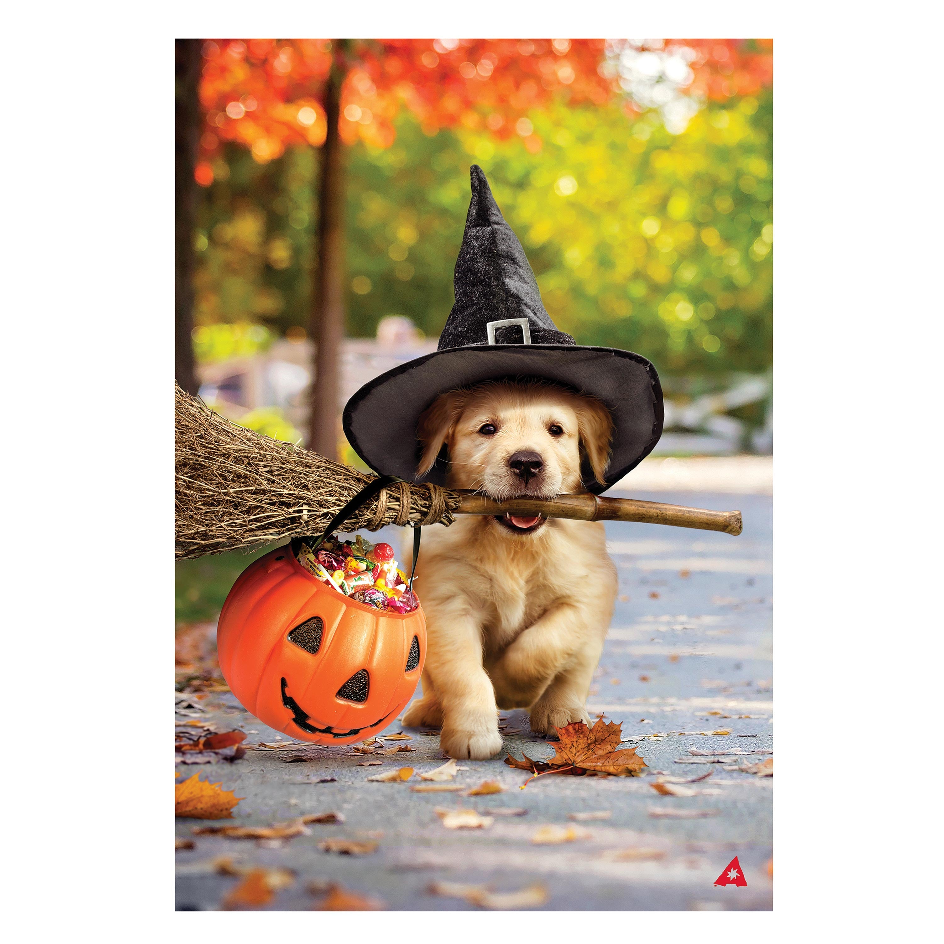 Goldens With Broom Suede Garden Flag - Sports Collectibles, Sports Memorabilia, Sports Fan Shop, Sports Gifts