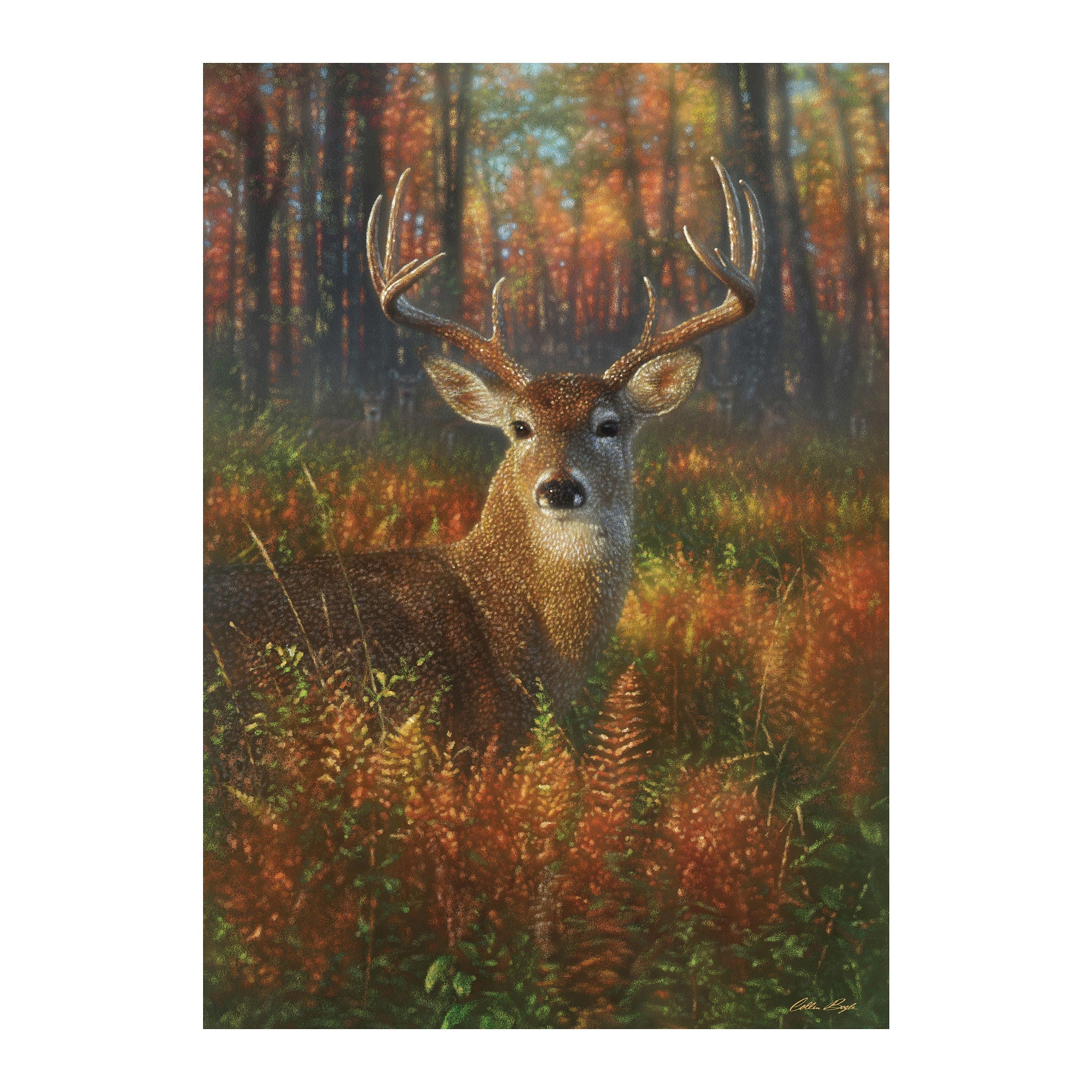 Gazing Autumn Buck Suede House Flag - Sports Gifts, Sports Memorabilia, Sports Collectibles, Fan Shop