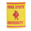 Embossed Suede Flag, GDN Size, Iowa State University - Sports Collectibles, Sports Memorabilia, Sports Fan Shop, Sports Gifts