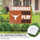 University of Texas Coroplast Yard Sign "Fans Play Here" - Sports Collectibles, Sports Memorabilia, Sports Fan Shop, Sports Gifts