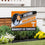 University of Tennessee Coroplast Yard Sign, Future Student - Sports Collectibles, Sports Memorabilia, Sports Fan Shop, Sports Gifts
