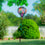 Summer Succulent Balloon Spinner - Sports Collectibles, Sports Memorabilia, Sports Fan Shop, Sports Gifts