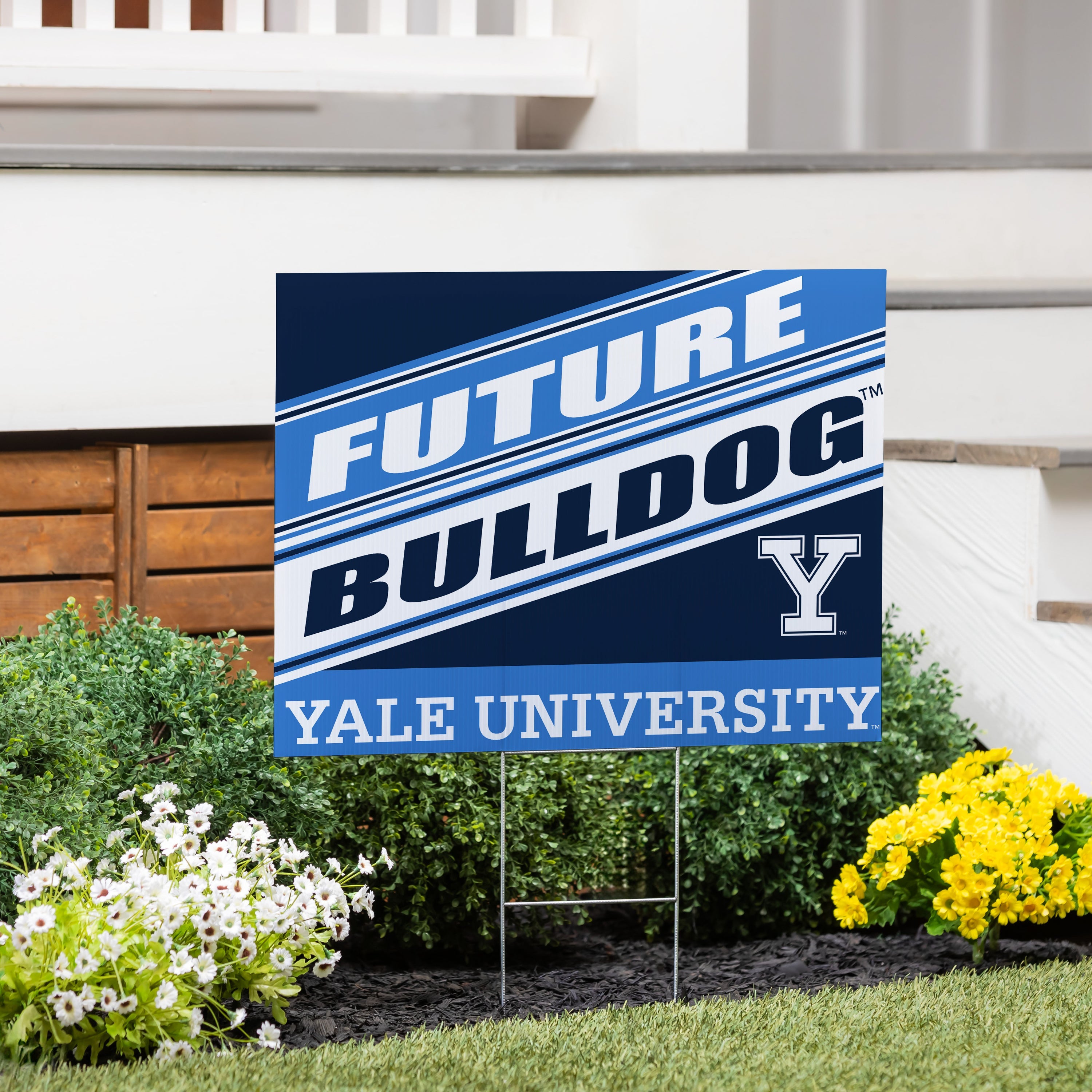 Yale University Coroplast Yard Sign, Future Student - Sports Collectibles, Sports Memorabilia, Sports Fan Shop, Sports Gifts