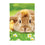 Bunny and Duckling Lustre Garden Flag - Sports Collectibles, Sports Memorabilia, Sports Fan Shop, Sports Gifts