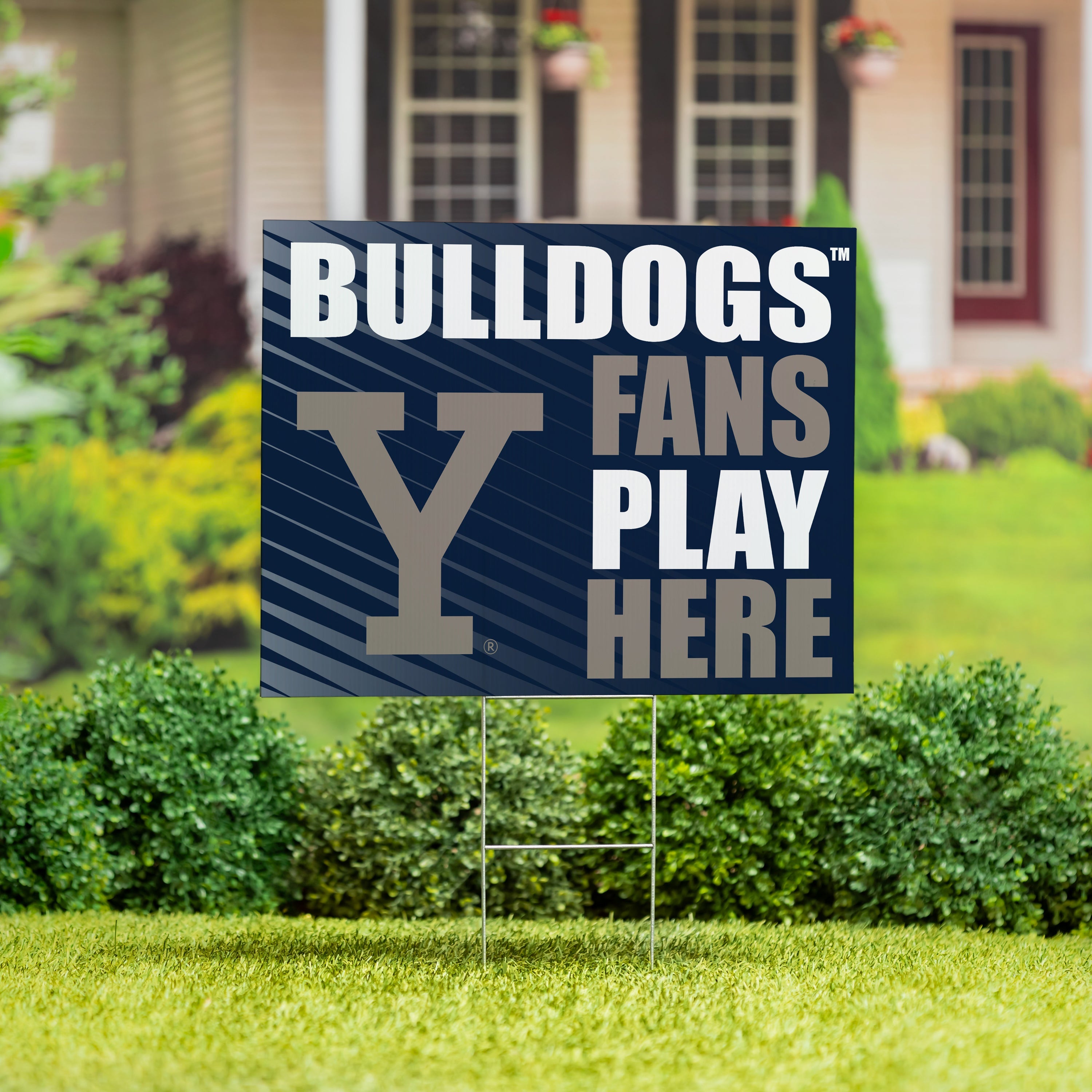 Yale University Coroplast Yard Sign Design B - Sports Collectibles, Sports Memorabilia, Sports Fan Shop, Sports Gifts