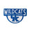NCAA Team Shaped Coir Door Mat, Kentucky Wildcats - Sports Collectibles, Sports Memorabilia, Sports Fan Shop, Sports Gifts