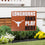 University of Texas Coroplast Yard Sign "Fans Play Here" - Sports Collectibles, Sports Memorabilia, Sports Fan Shop, Sports Gifts