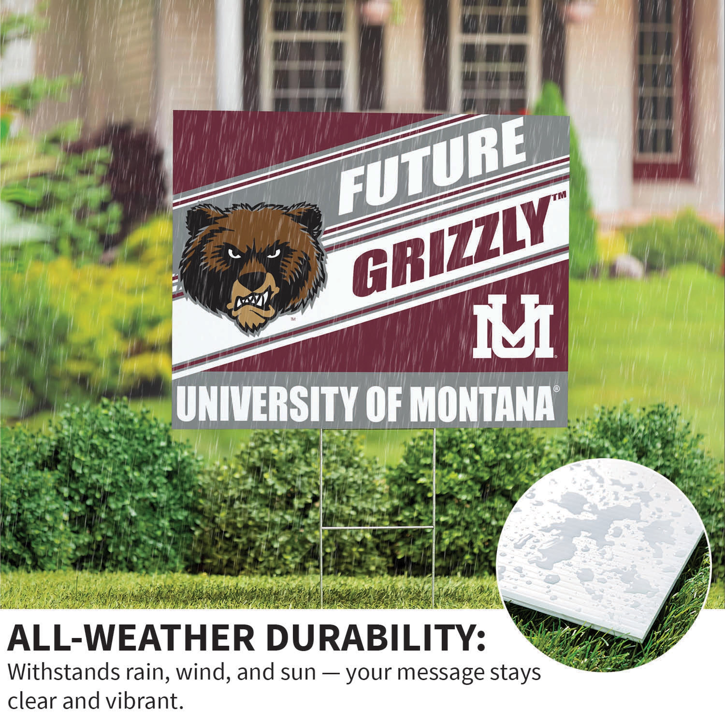 University of Montana Coroplast Yard Sign, Future Student - Sports Collectibles, Sports Memorabilia, Sports Fan Shop, Sports Gifts