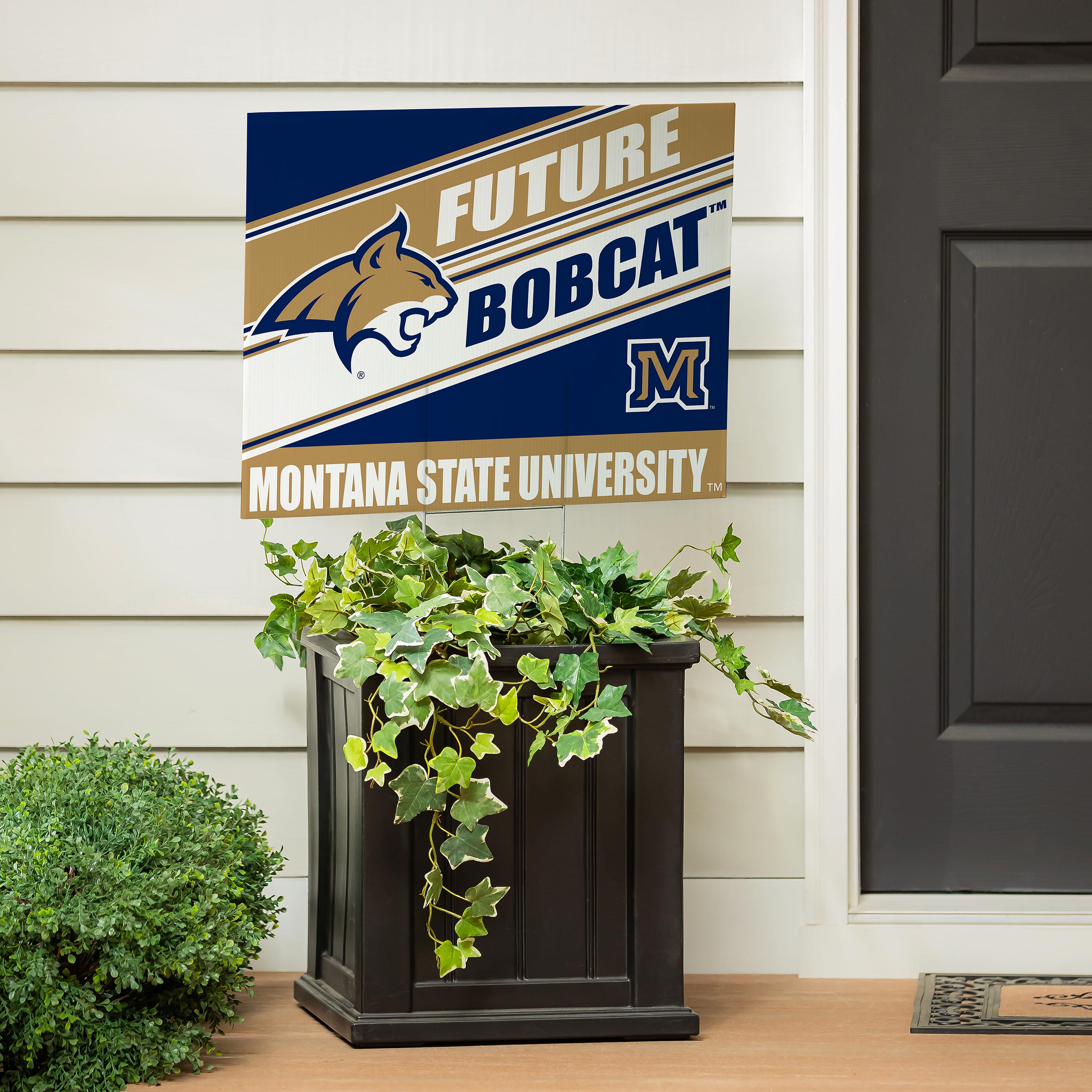 Montana State University Coroplast Yard Sign, Future Student - Sports Collectibles, Sports Memorabilia, Sports Fan Shop, Sports Gifts