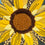 Welcome Friends Leopard Sunflower Burlap House Flag - Sports Collectibles, Sports Memorabilia, Sports Fan Shop, Sports Gifts
