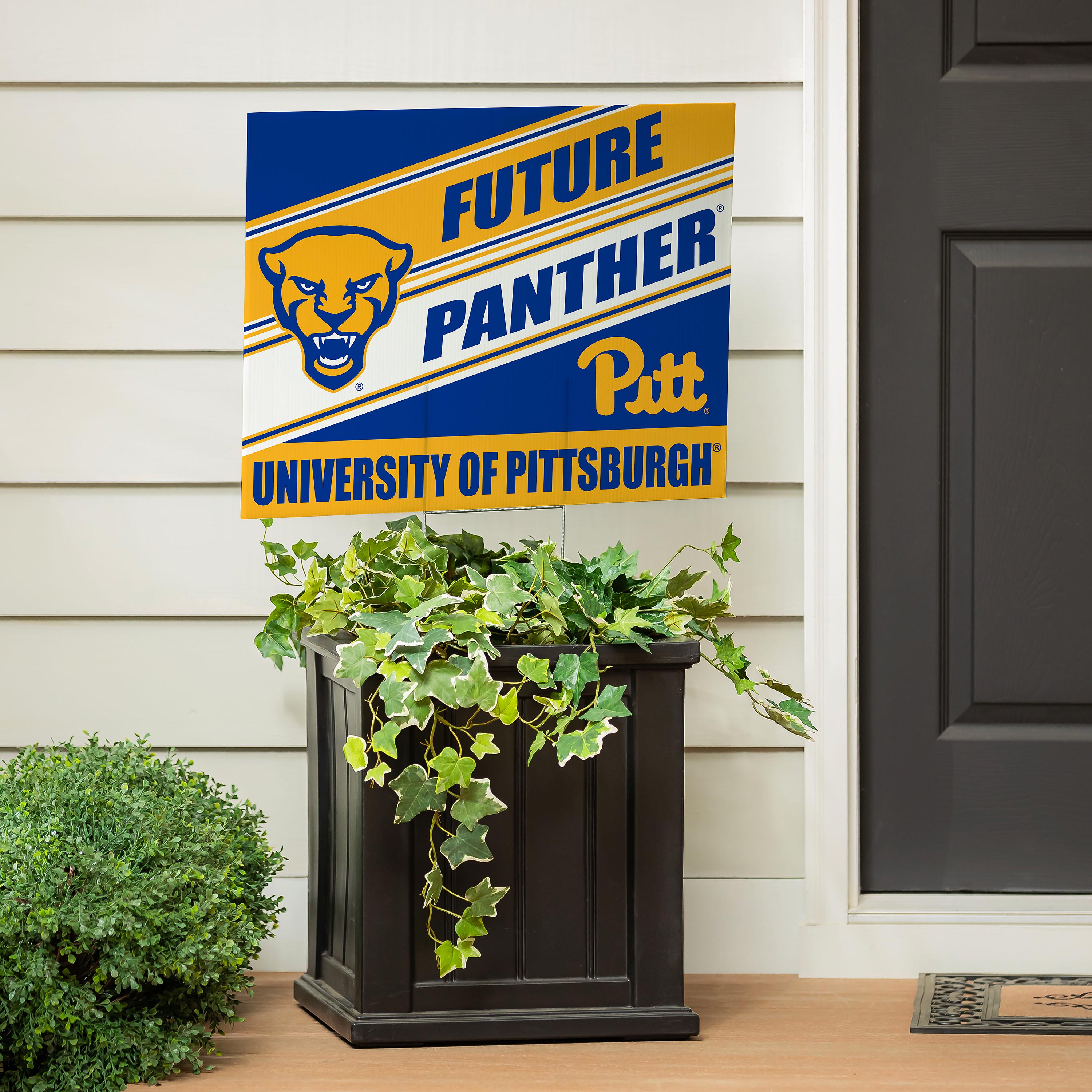 University of Pittsburgh Coroplast Yard Sign, Future Student - Sports Collectibles, Sports Memorabilia, Sports Fan Shop, Sports Gifts