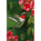 Hummingbird Closeup Suede Garden Flag - Sports Gifts, Sports Memorabilia, Sports Collectibles, Fan Shop