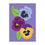 Pansy Garden Basic Applique Garden Flag - Sports Gifts, Sports Memorabilia, Sports Collectibles, Fan Shop