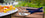 YouTheFan NCAA Spirit Series 3pc BBQ Set - Sports Collectibles, Sports Memorabilia, Sports Fan Shop, Sports Gifts
