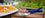 YouTheFan NCAA Spirit Series 3pc BBQ Set - Sports Collectibles, Sports Memorabilia, Sports Fan Shop, Sports Gifts