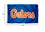 University of Florida Gators Flag and USA 3x5 Flag Set - Sports Collectibles, Sports Memorabilia, Sports Fan Shop, Sports Gifts