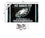 Philadelphia Eagles Fly Eagles Fly Super Bowl Champions Banner and Tapestry Wall Tack Pads - Sports Collectibles, Sports Memorabilia, Sports Fan Shop, Sports Gifts