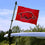 Arkansas Razorbacks Golf Cart Flag Pole and Holder Mounting Bracket - Sports Collectibles, Sports Memorabilia, Sports Fan Shop, Sports Gifts