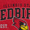 NCAA Illinois State Redbirds Vintage Arch Block Ultra Soft Blanket - Sports Gifts, Sports Memorabilia, Sports Collectibles, Fan Shop