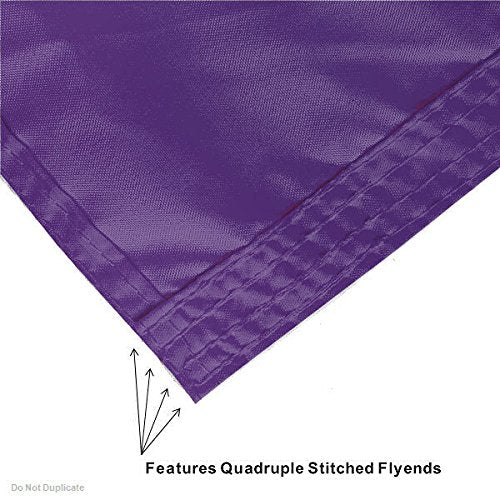 College Flags & Banners Co. Texas Christian Horned Frogs Embroidered and Stitched Nylon Flag - Sports Collectibles, Sports Memorabilia, Sports Fan Shop, Sports Gifts