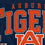 NCAA Auburn Tigers Vintage Arch Block Ultra Soft Blanket - Sports Gifts, Sports Memorabilia, Sports Collectibles, Fan Shop