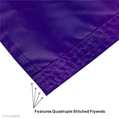 College Flags & Banners Co. Furman University Flag and Pole Bracket Mount Bundle - Sports Collectibles, Sports Memorabilia, Sports Fan Shop, Sports Gifts