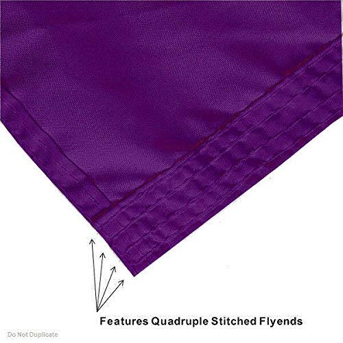 College Flags & Banners Co. Mount Union Raiders Flag and Pole Bracket Bundle - Sports Collectibles, Sports Memorabilia, Sports Fan Shop, Sports Gifts