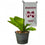 College Flags & Banners Co. Mississippi State Bulldogs Mini Garden and Flower Pot Flag Topper - Sports Collectibles, Sports Memorabilia, Sports Fan Shop, Sports Gifts