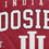NCAA Indiana Hoosiers Vintage Arch Block Ultra Soft Blanket - Sports Gifts, Sports Memorabilia, Sports Collectibles, Fan Shop