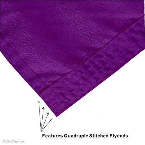 Northwestern State University Polyester Flag and Pole Bracket Mount Bundle - Sports Collectibles, Sports Memorabilia, Sports Fan Shop, Sports Gifts