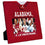 MasterPieces NCAA Alabama Crimson Tide 4" x 6" Uniform Photo Picture Frame - 757 Sports Collectibles
