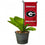 College Flags & Banners Co. Georgia Bulldogs Mini Garden and Flower Pot Flag Topper - Sports Collectibles, Sports Memorabilia, Sports Fan Shop, Sports Gifts