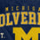 NCAA Michigan Wolverines Vintage Arch Block Ultra Soft Blanket - Sports Gifts, Sports Memorabilia, Sports Collectibles, Fan Shop