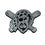 MLB - Pittsburgh Pirates Plastic Chrome Emblem