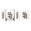 San Diego Padres 14oz Gameday Rocks Glass - Sports Gifts, Sports Memorabilia, Sports Collectibles, Fan Shop